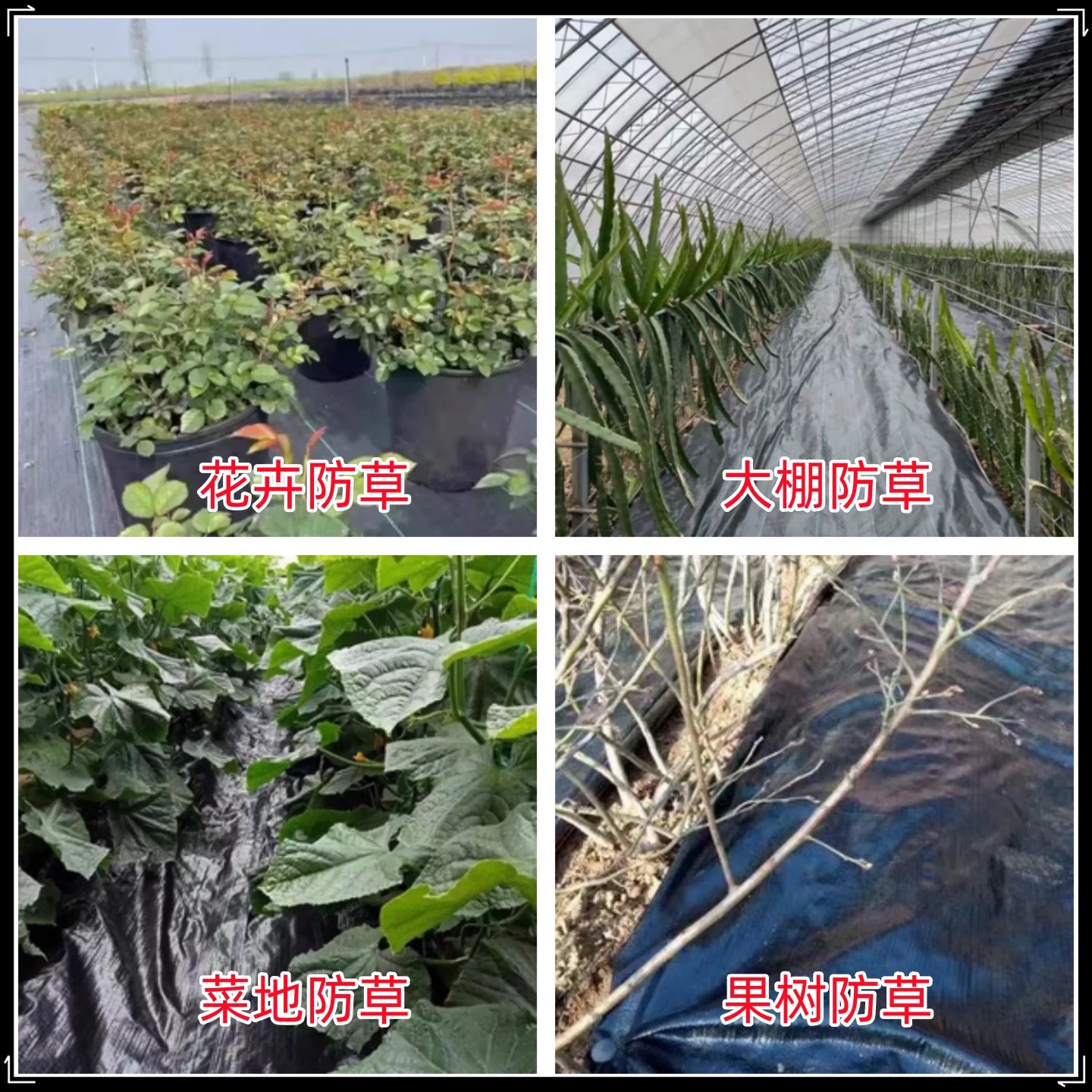 信阳市塑料薄膜防草布 - 哪里好