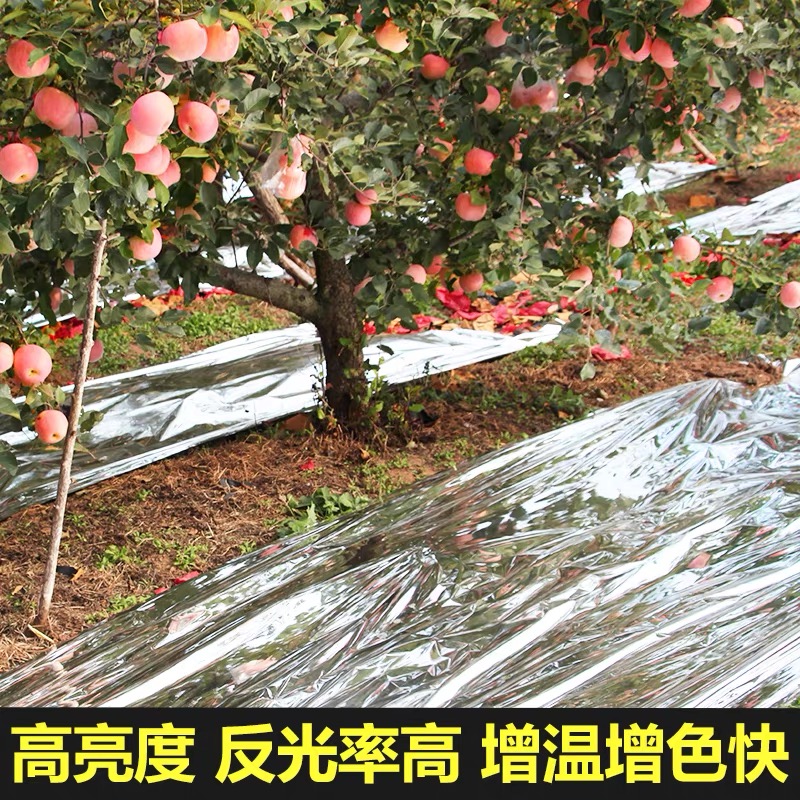 信阳市防草布果树反光膜 - 价格